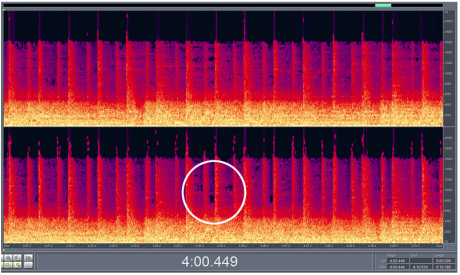 10 sekunder i 192 KBPS Samme 10 sekunders utdrag viser at musikkfilen har ”svarte hull” i det hørbare frekvensområdet.