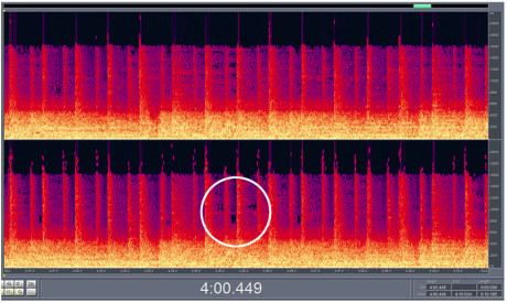 Sådan ødelægges lyden 5 10 sekunder i 192 KBPS Samme 10 sekunders utdrag viser at musikkfilen har ”svarte hull” i det hørbare frekvensområdet.