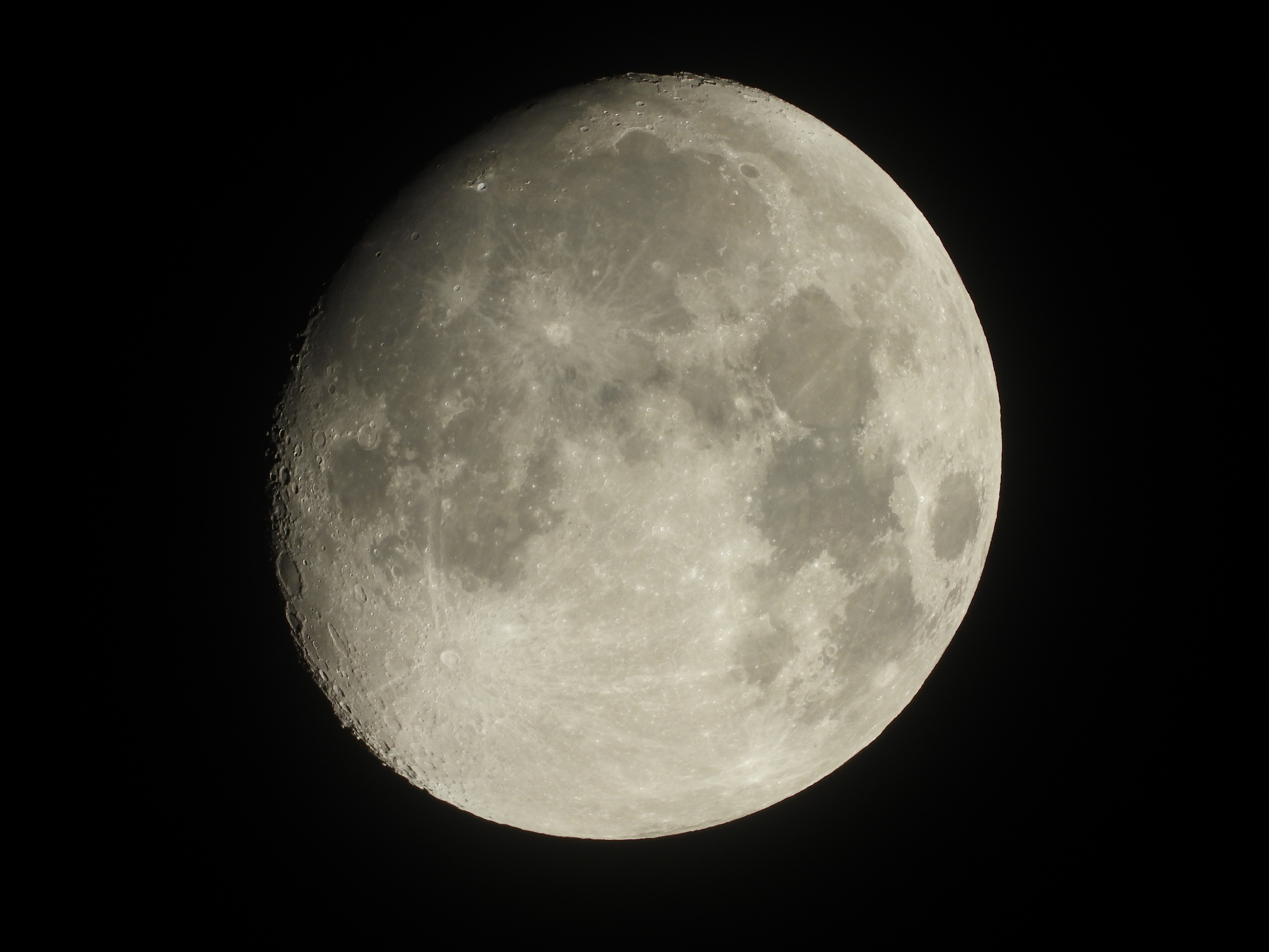 125x zoom! 1 Foto: Nikon