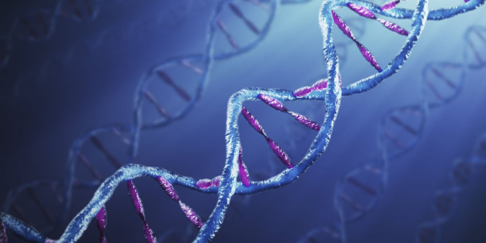 DNA – det nye lagringsmediet?
