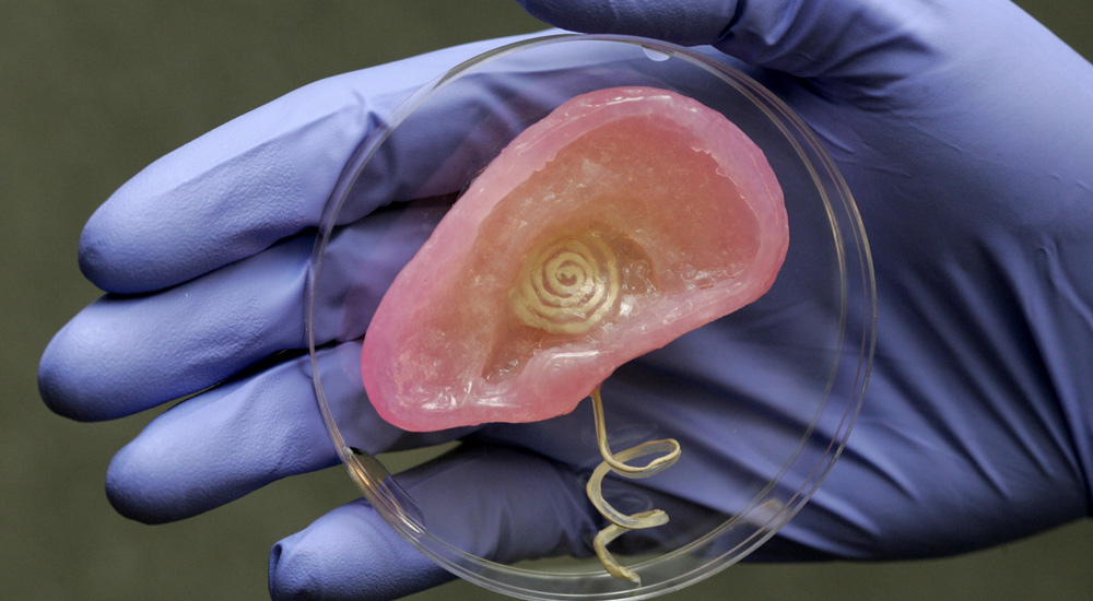 3D-printet øre kan høre supersoniske frekvenser
