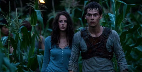 The-Maze-Runner_7