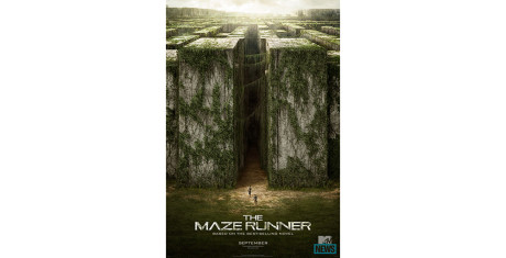 The-Maze-Runner_8