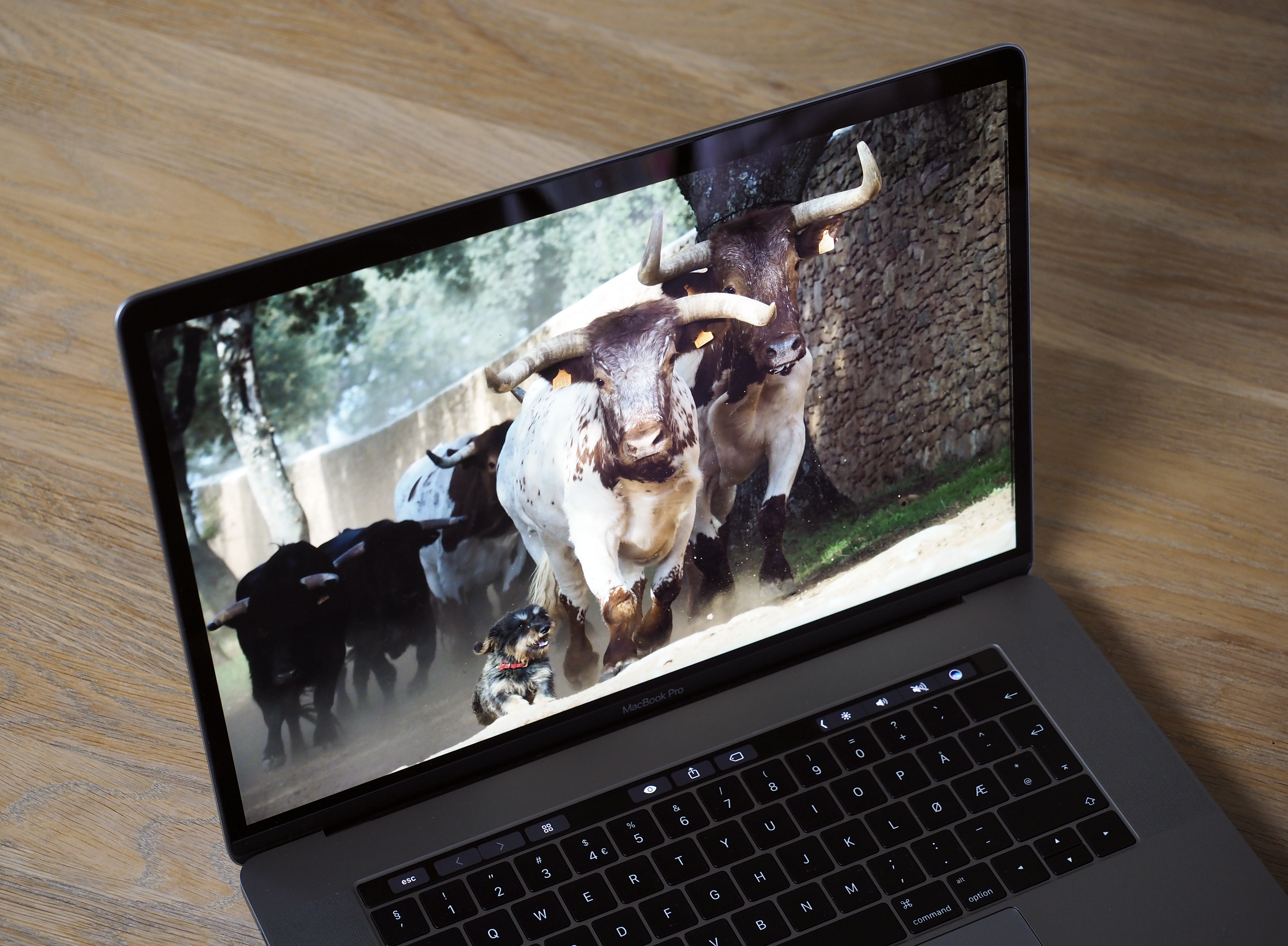 projektor hekte til MacBook Pro