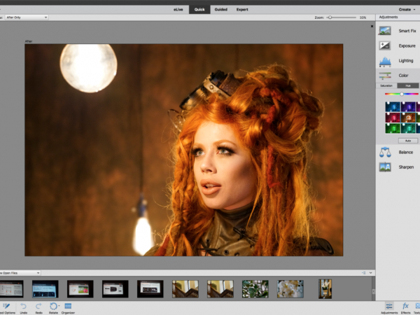 Adobe Photoshop Elements 15
