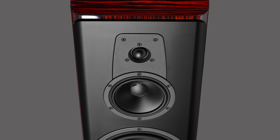 dynaudio c60