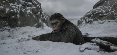 War for the Planet of the Apes: Apene slår tilbake! 4