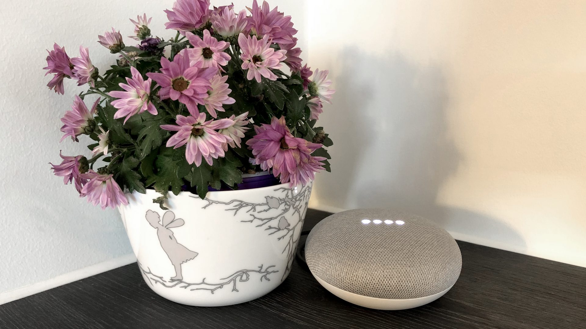 Google Home Mini