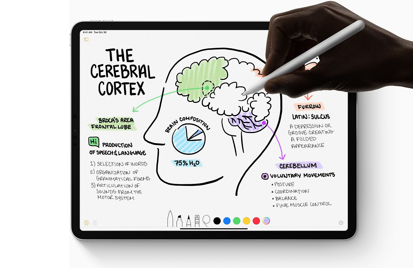Face-ID og større skjerm på iPad Pro 1 Face-ID og større skjerm på iPad Pro 1