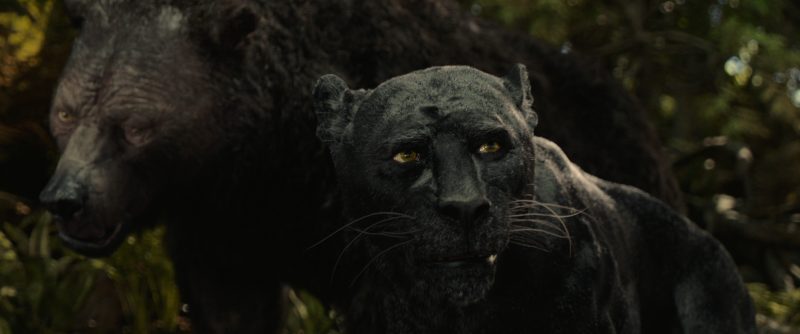 Mowgli 2