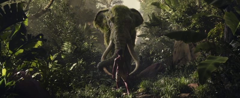 Mowgli 4