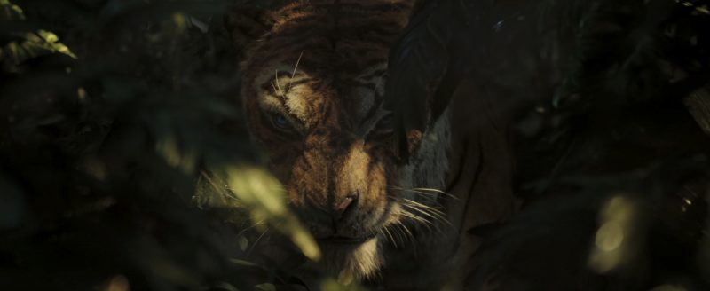Mowgli 5