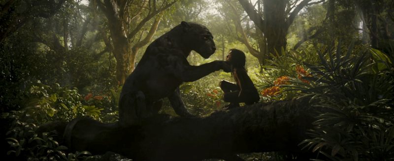 Mowgli 6