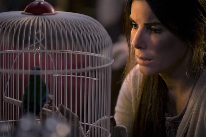 Bird Box 2