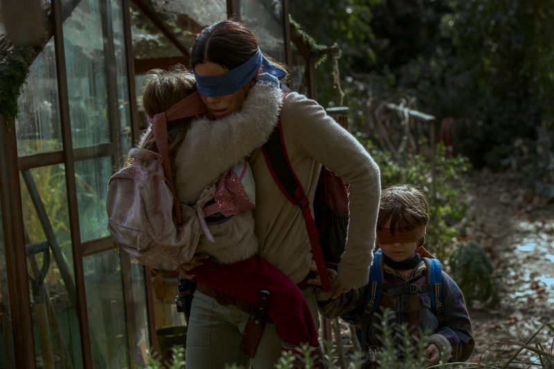 Bird Box 3
