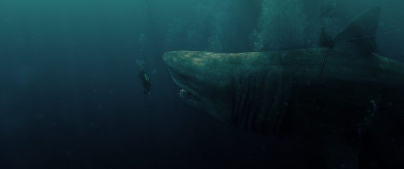 The Meg – Megalodon 2