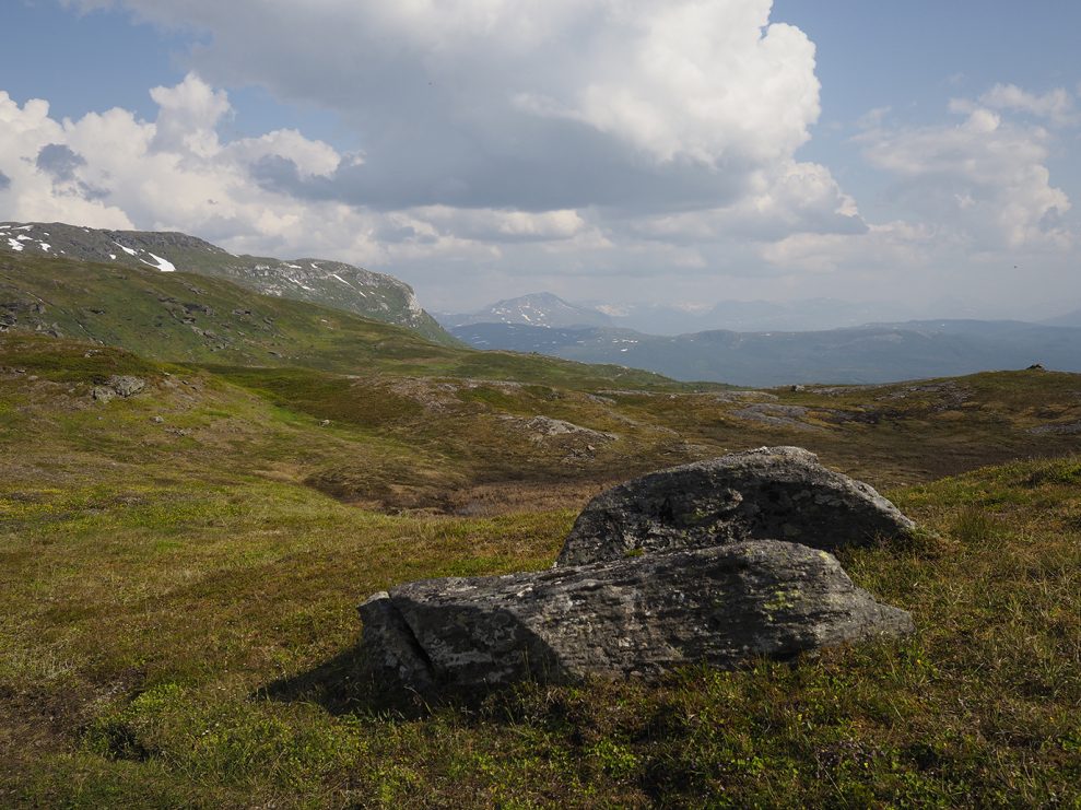 Anv&#228;nd f&#246;rgrunden f&#246;r att skapa djup. 