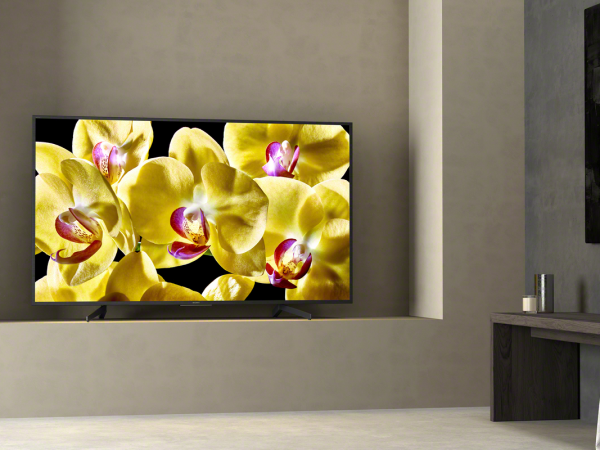 Sony KD-65XG8096