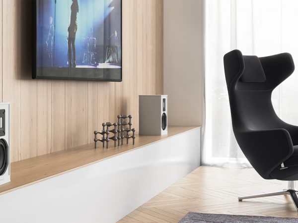 Piega Premium Wireless 301