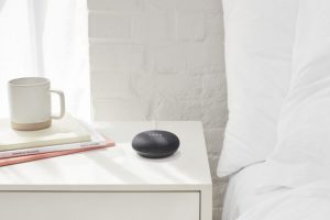 Google Nest Mini