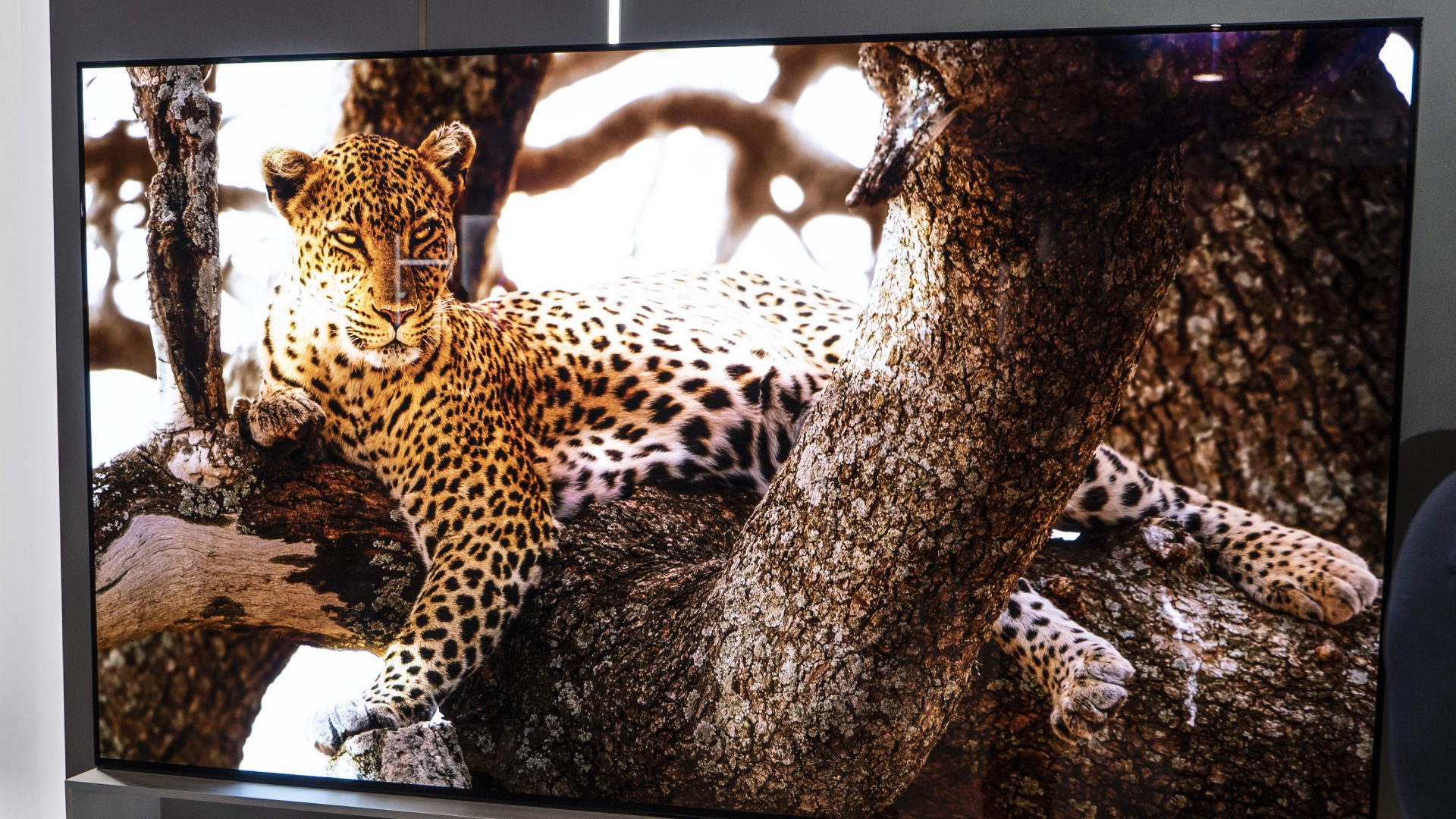 LG starter slipp av 2020 4K og 8K OLED TV-er denne måneden