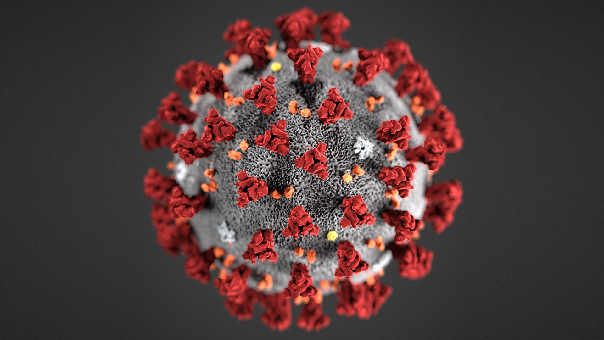 Slik låter koronavirus som musikk