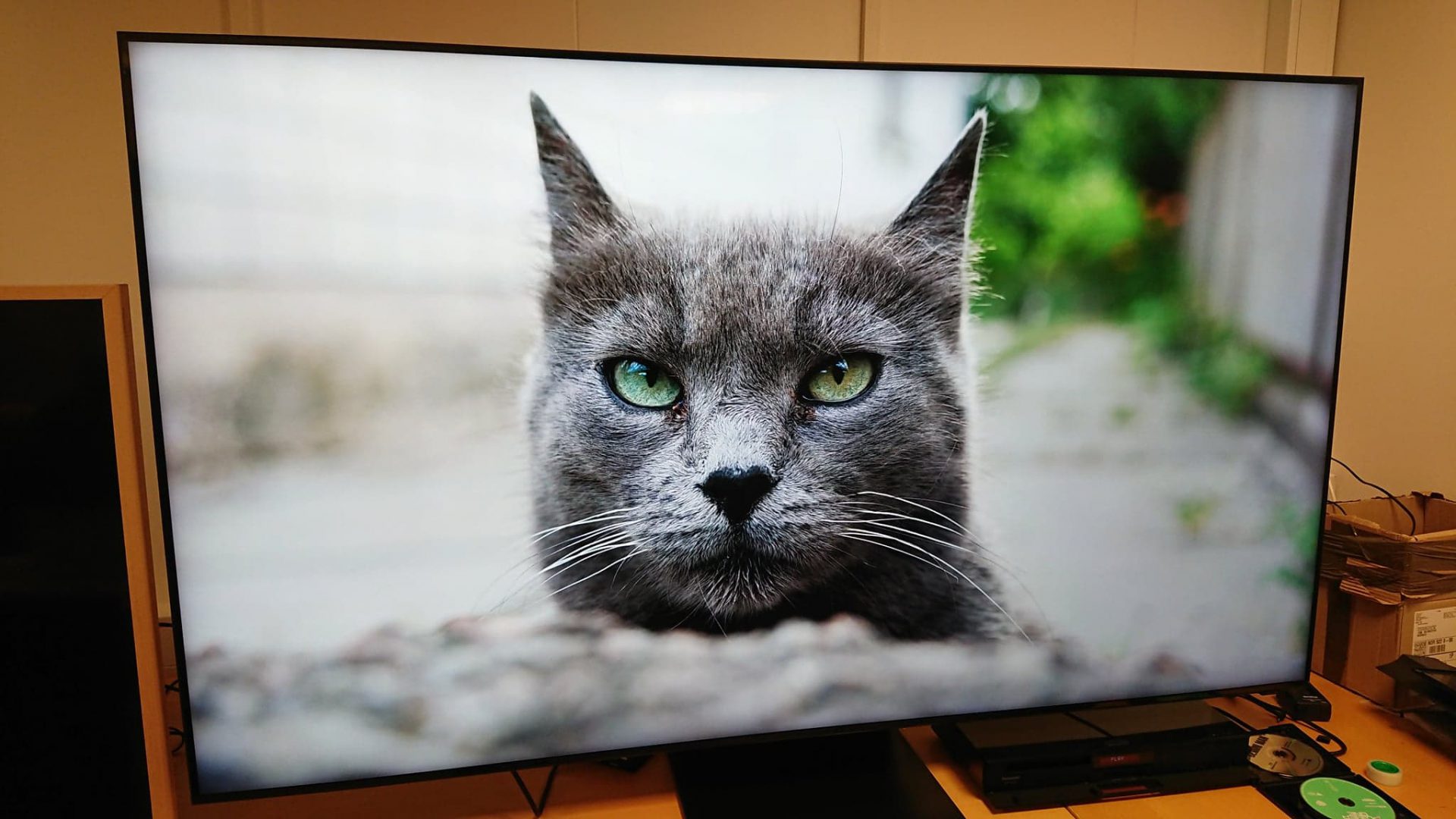 Her er Samsungs billigste 8K-TV