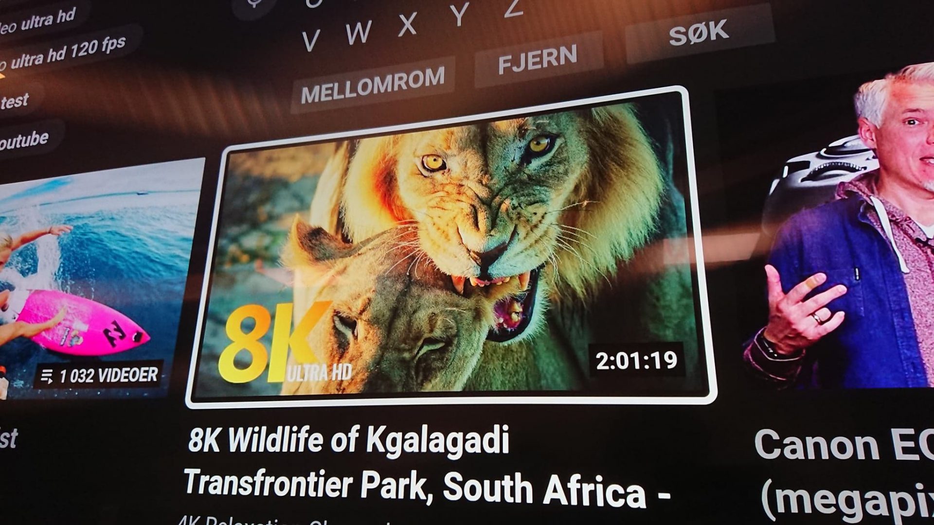 YouTube 8K Tiger