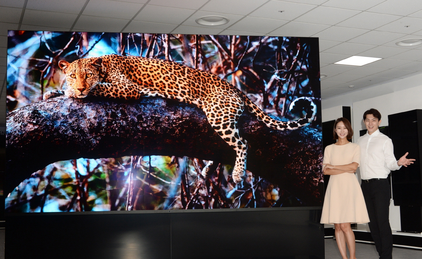 CES 2021: LG Magnit er en 163″ MicroLED-TV