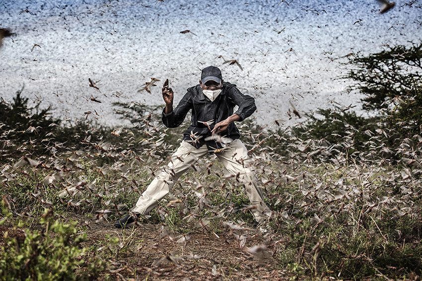 Sony World Photography Awards 2021 vinnere 8