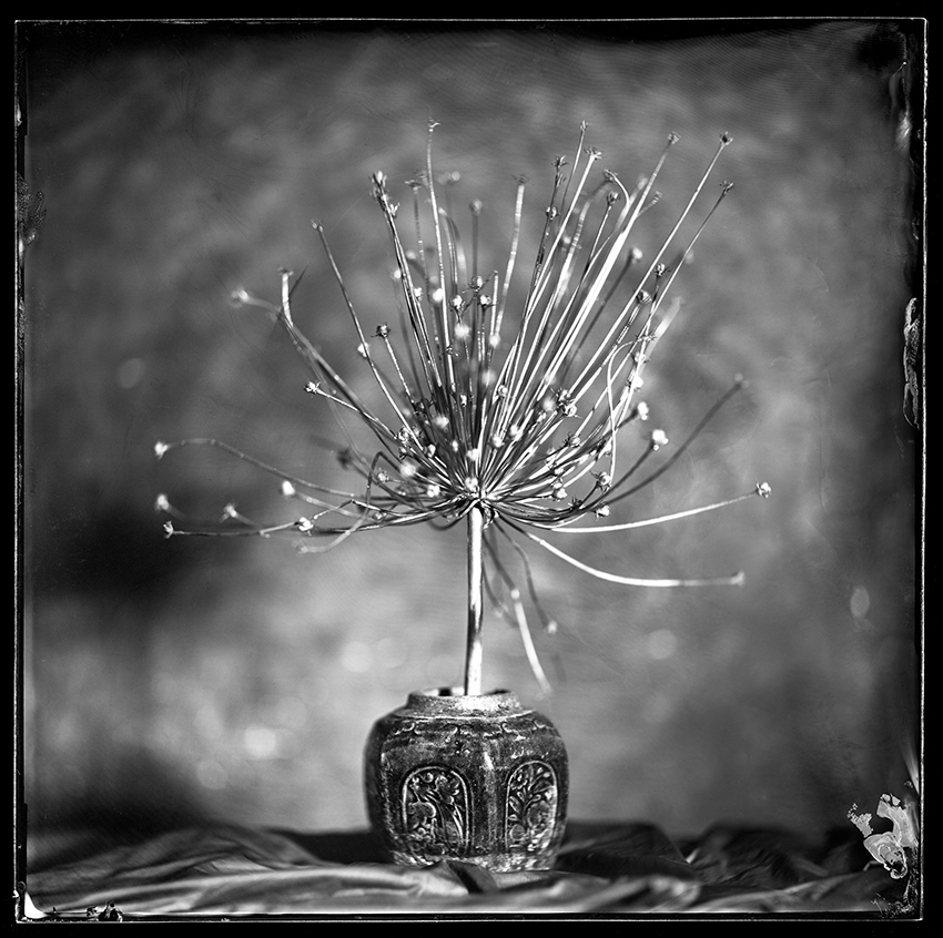 Sony World Photography Awards 2021 vinnere 6
