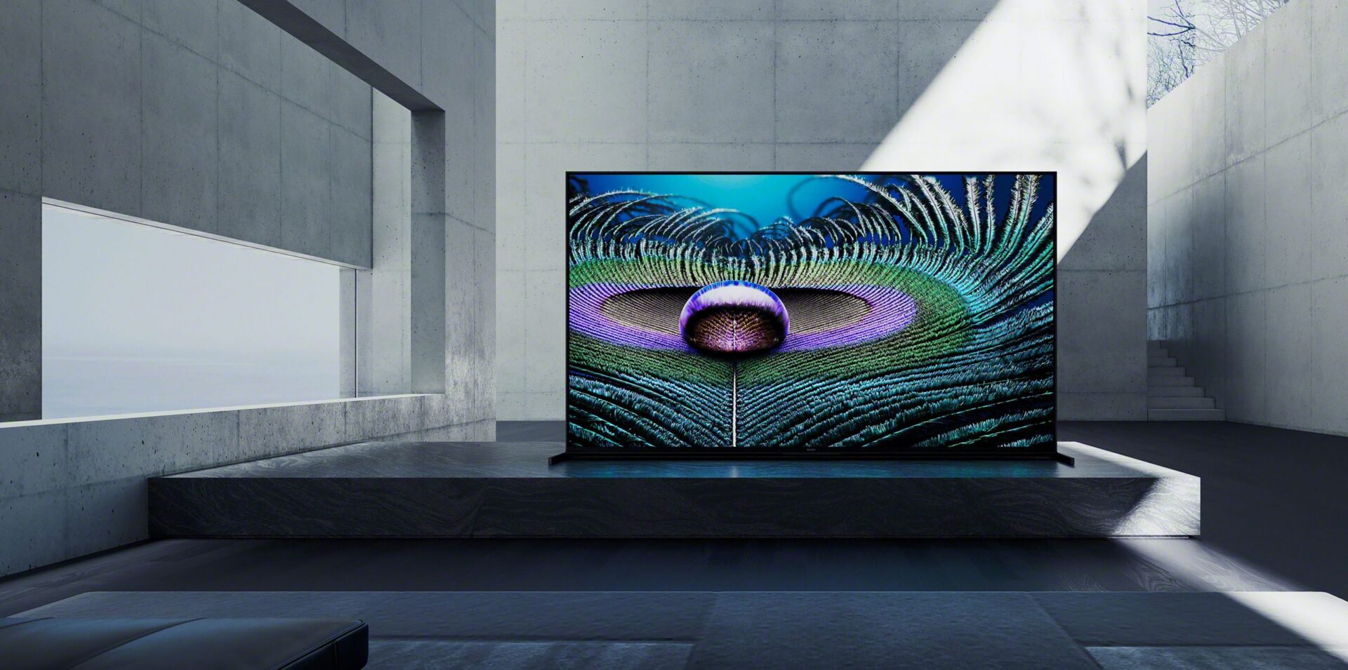 Sony Bravia XR A90J (XR-65A90J)