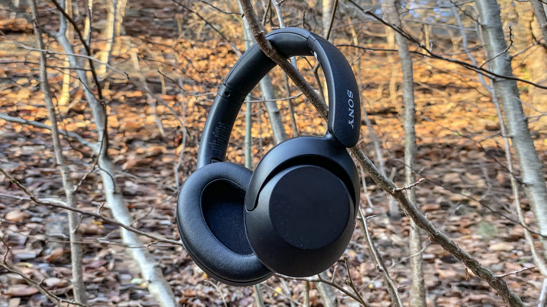 TEST: Sony WH-XB910N - De beste hodetelefonene under 2000 kr