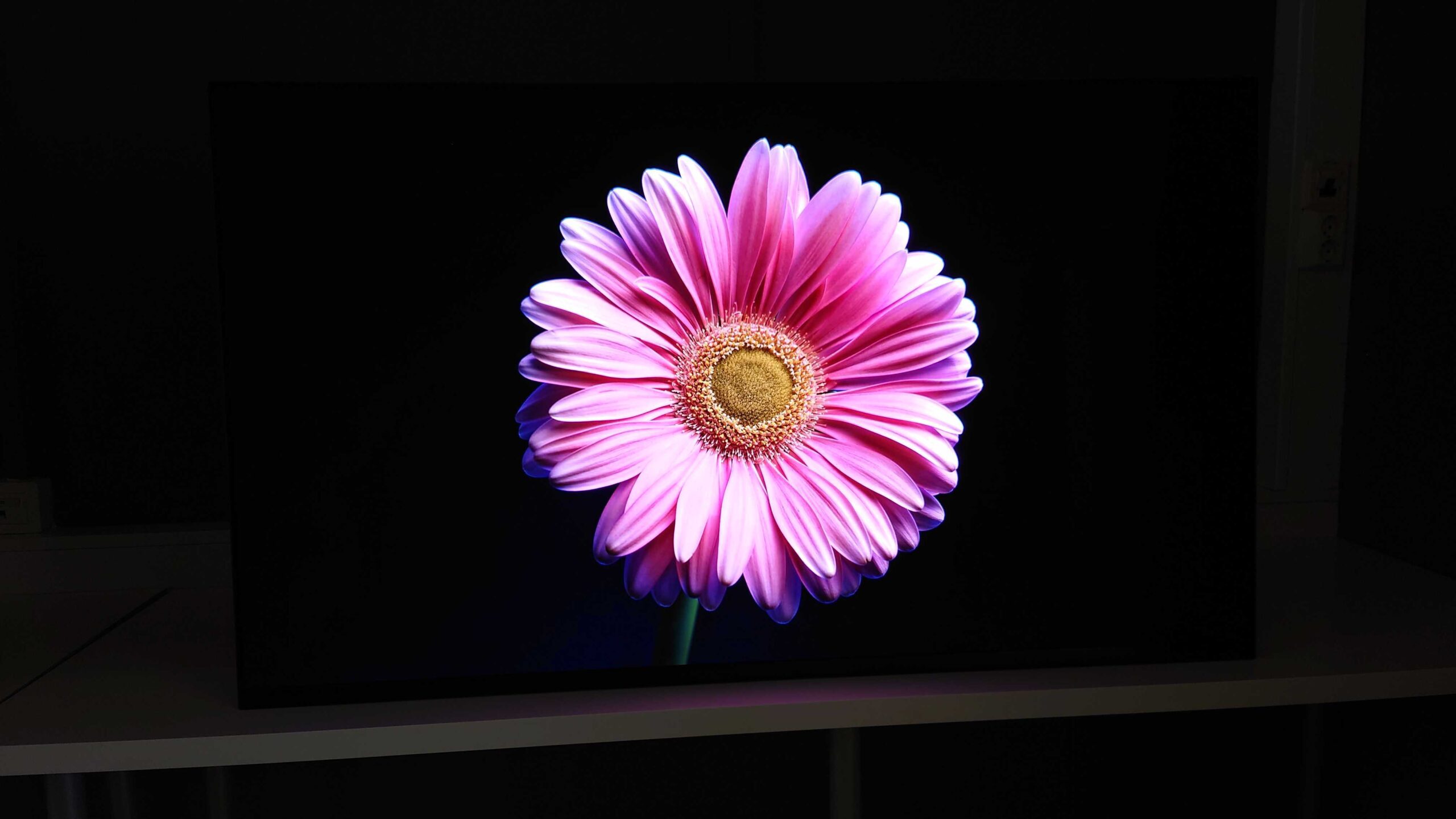 Sony A95 PQ flower