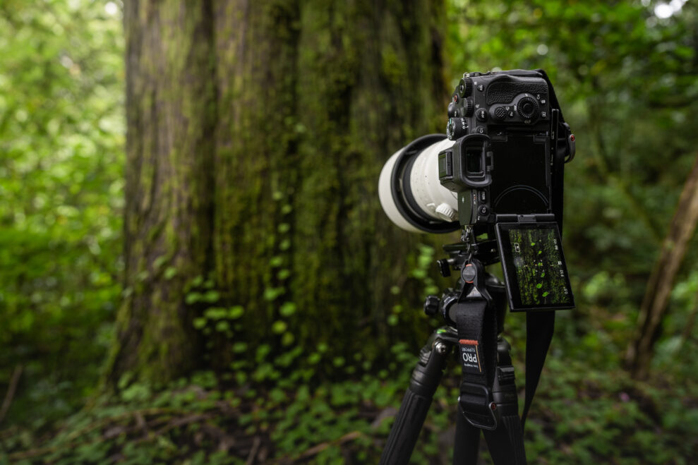 8. Optional A7RV Situation Image Albert Dros Madeira BTS