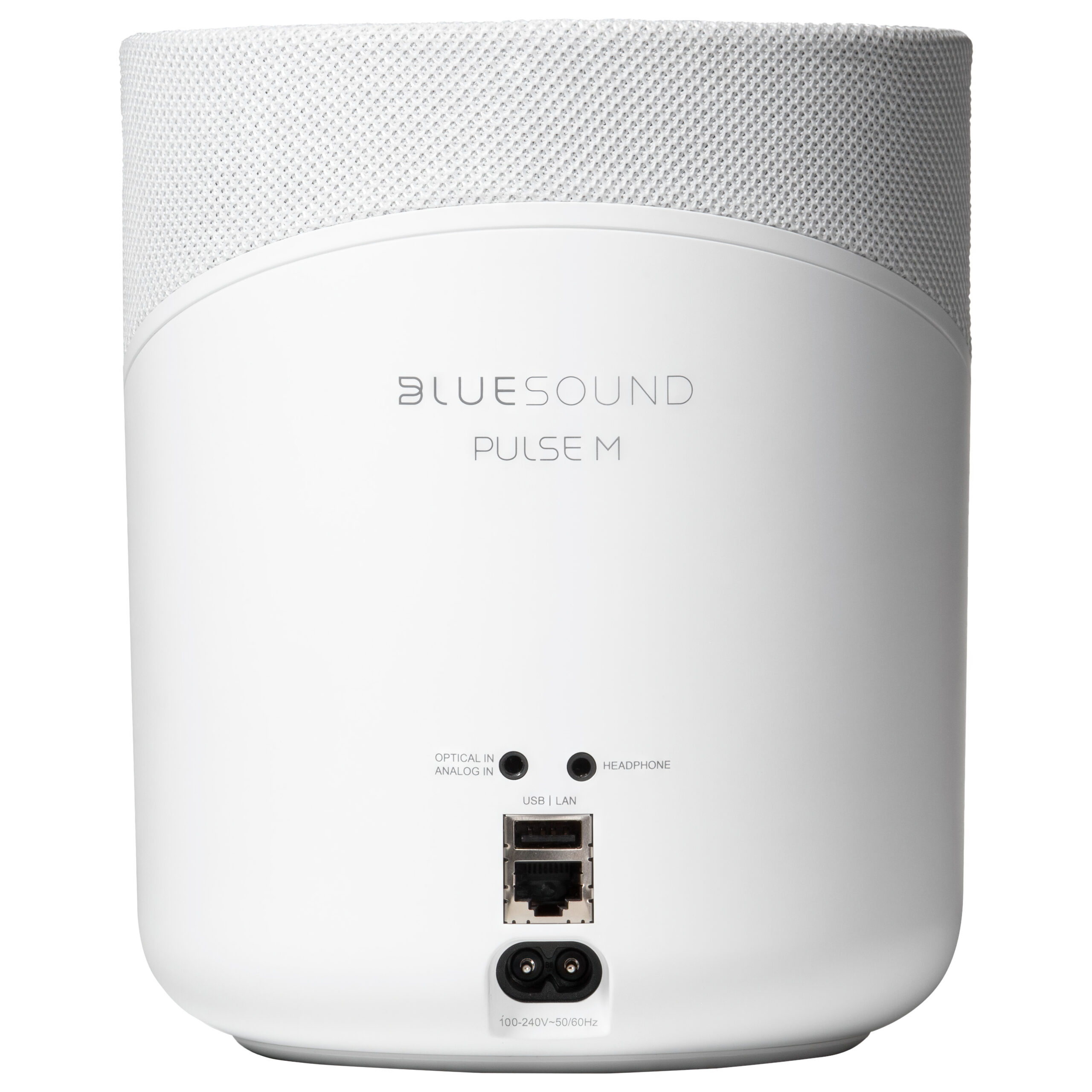 Bluesound PULSE M Rear-scaled