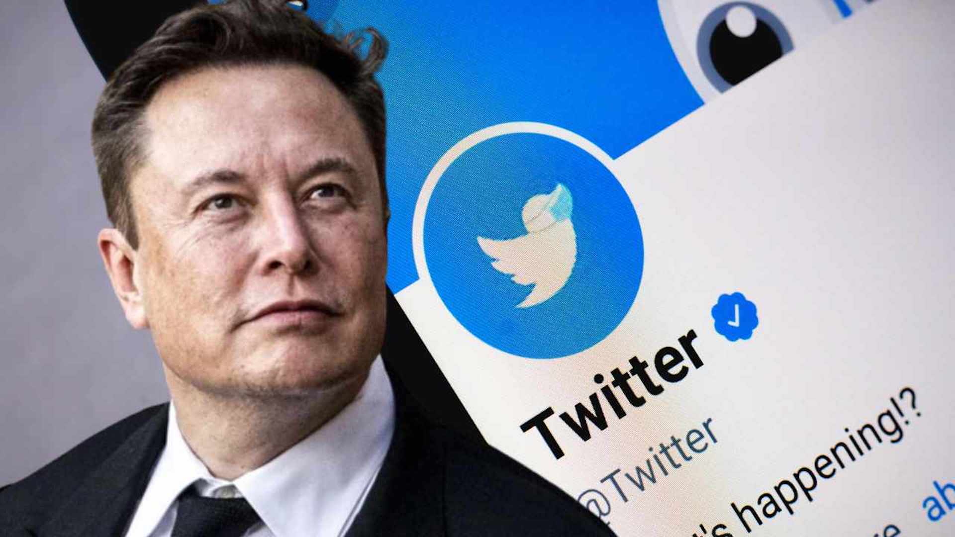 Elon Musk har et poeng