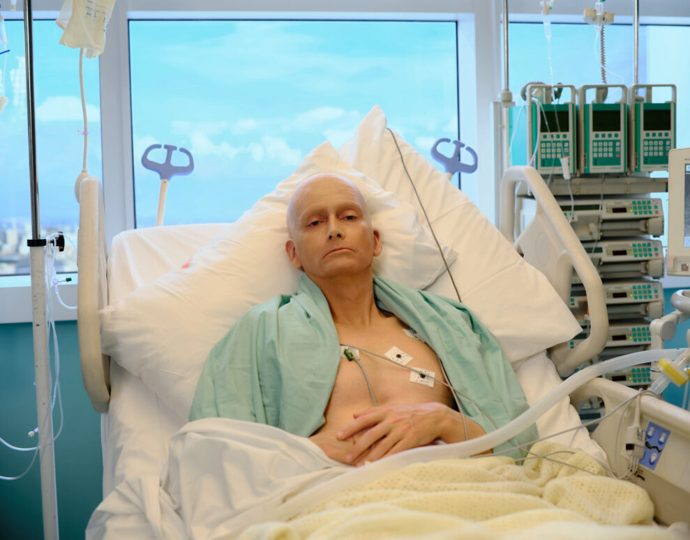 Litvinenko_1 (8)