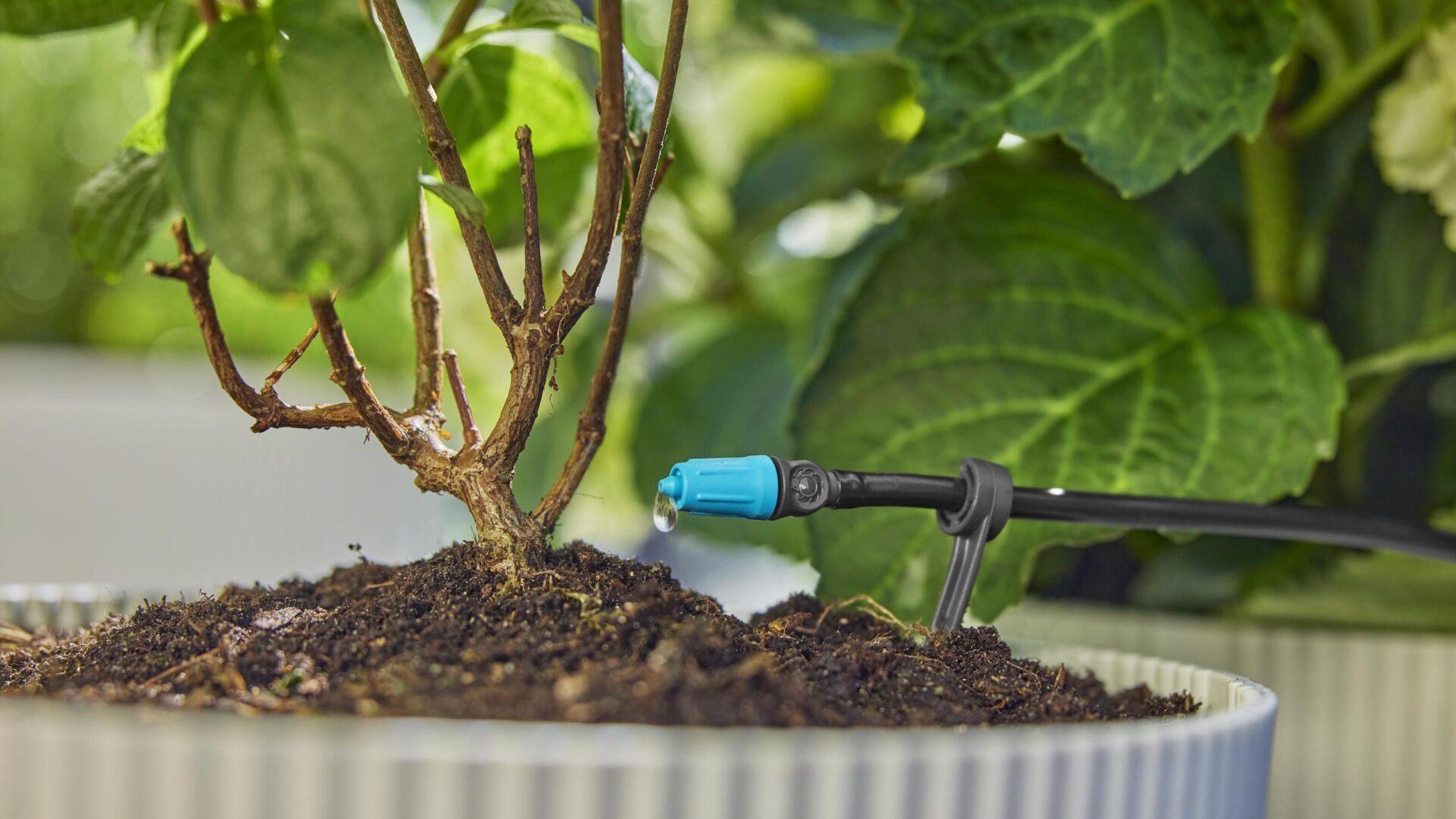 Gardena Micro-Drip-systemet gjør hagen frisk og fin