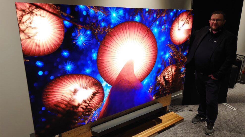 Samsung MicroLED (13)