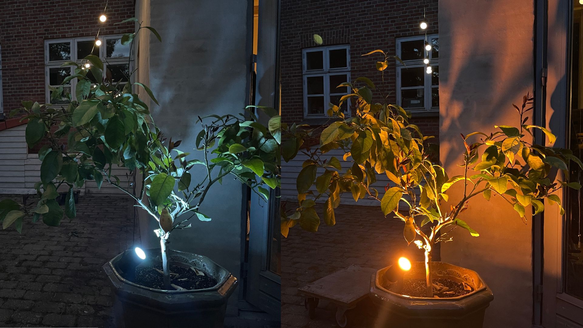 Philips Hue Lily utendørs spot