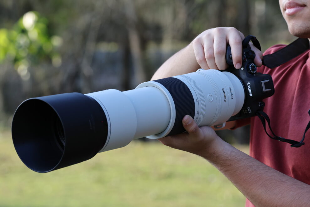 RF 200-800mm F6.3-9 IS USM-Lifestyle-040A3536