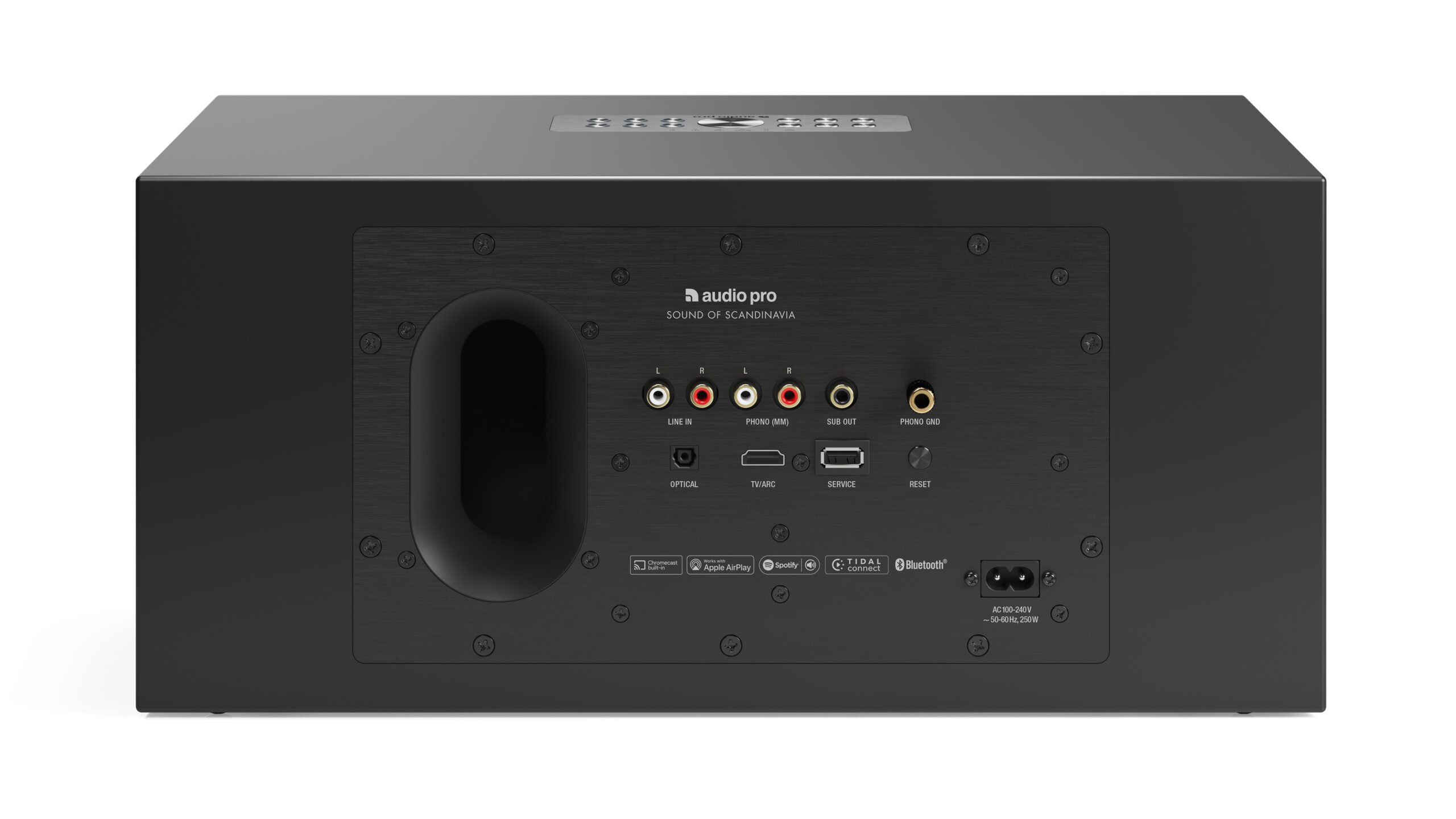 Audio Pro C20 black rearpanel