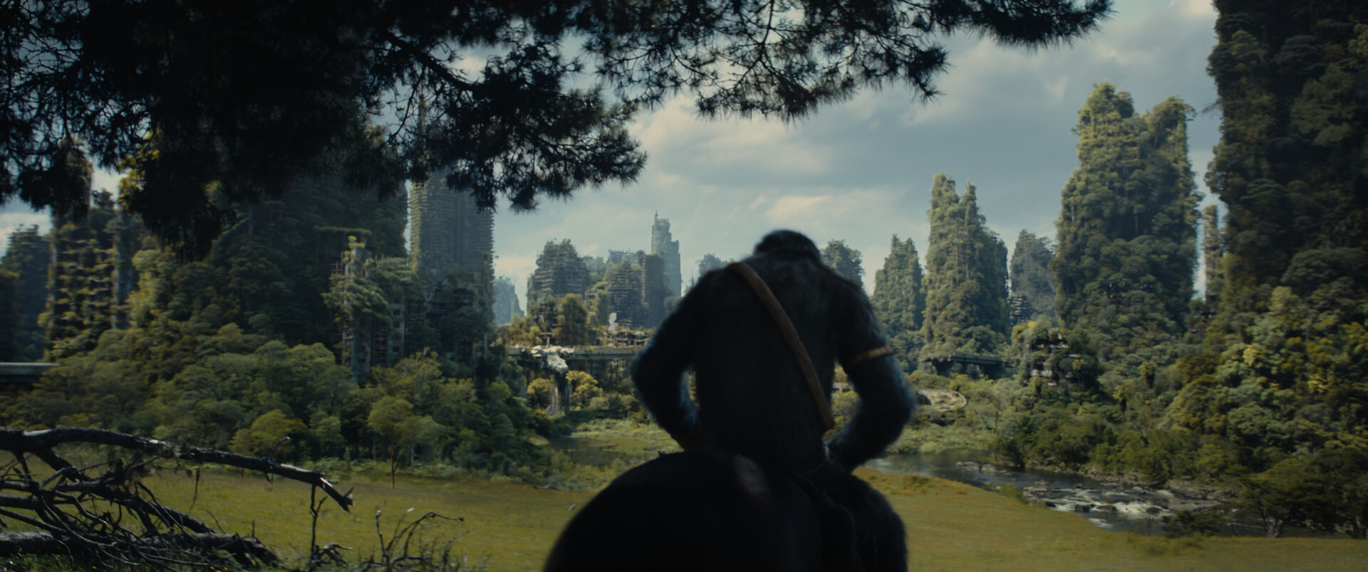 Kingdom of the Planet of the Apes – snart tilgjengelig for VOD 1 Kingdom of the Planet of the Apes – snart tilgjengelig for VOD 1