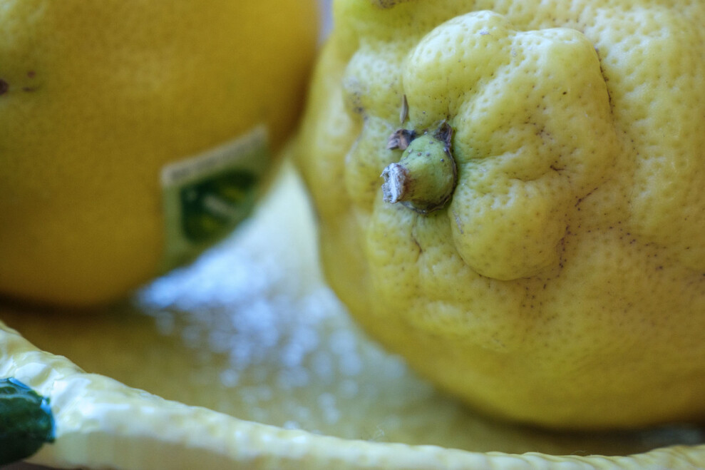XF16-50 macro 2