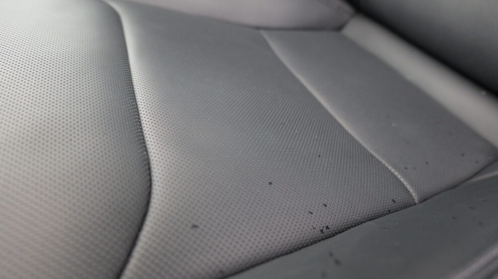 Tesla Model 3 ventilated seats