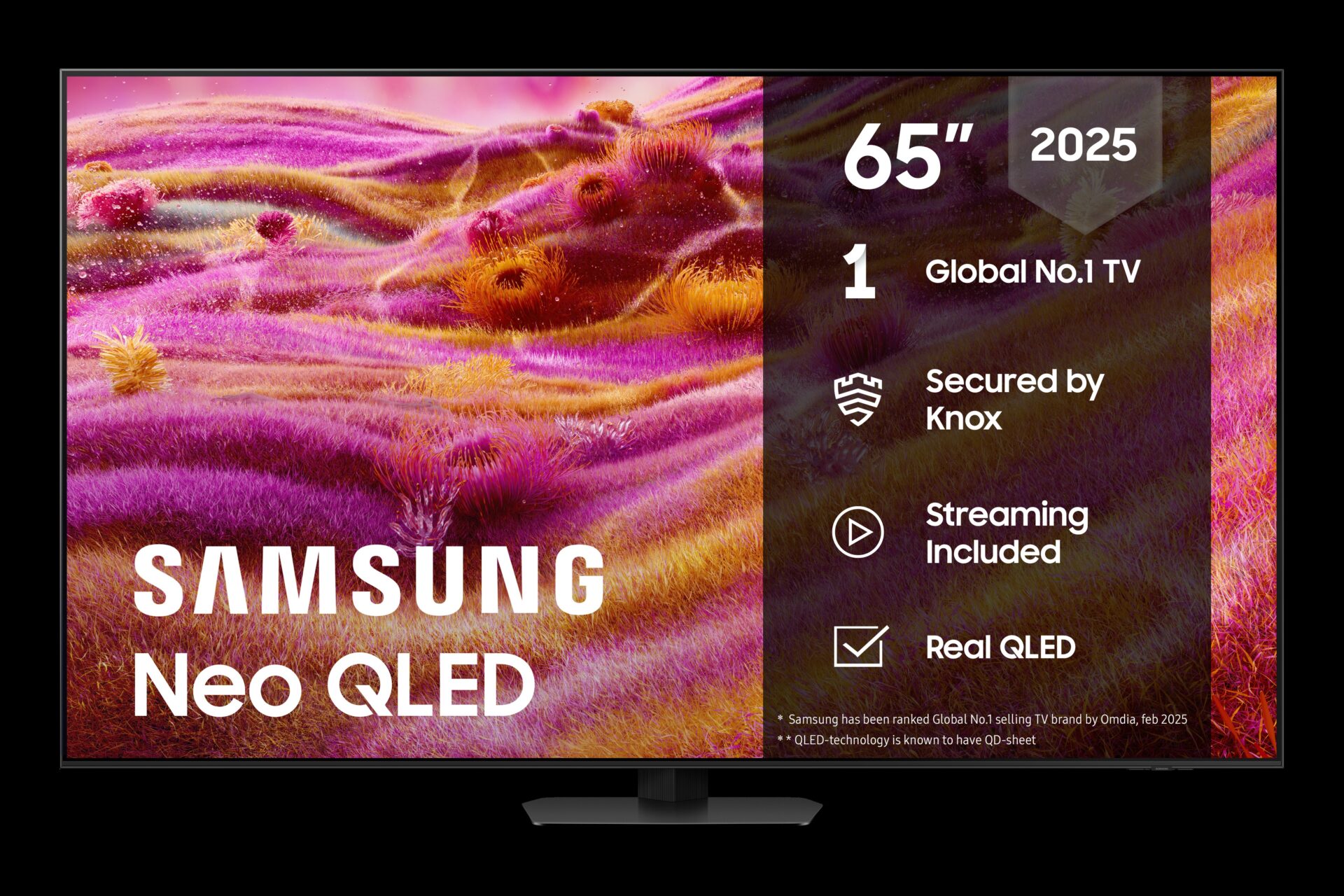 Samsung QN90F (TQ65QN90F) 1