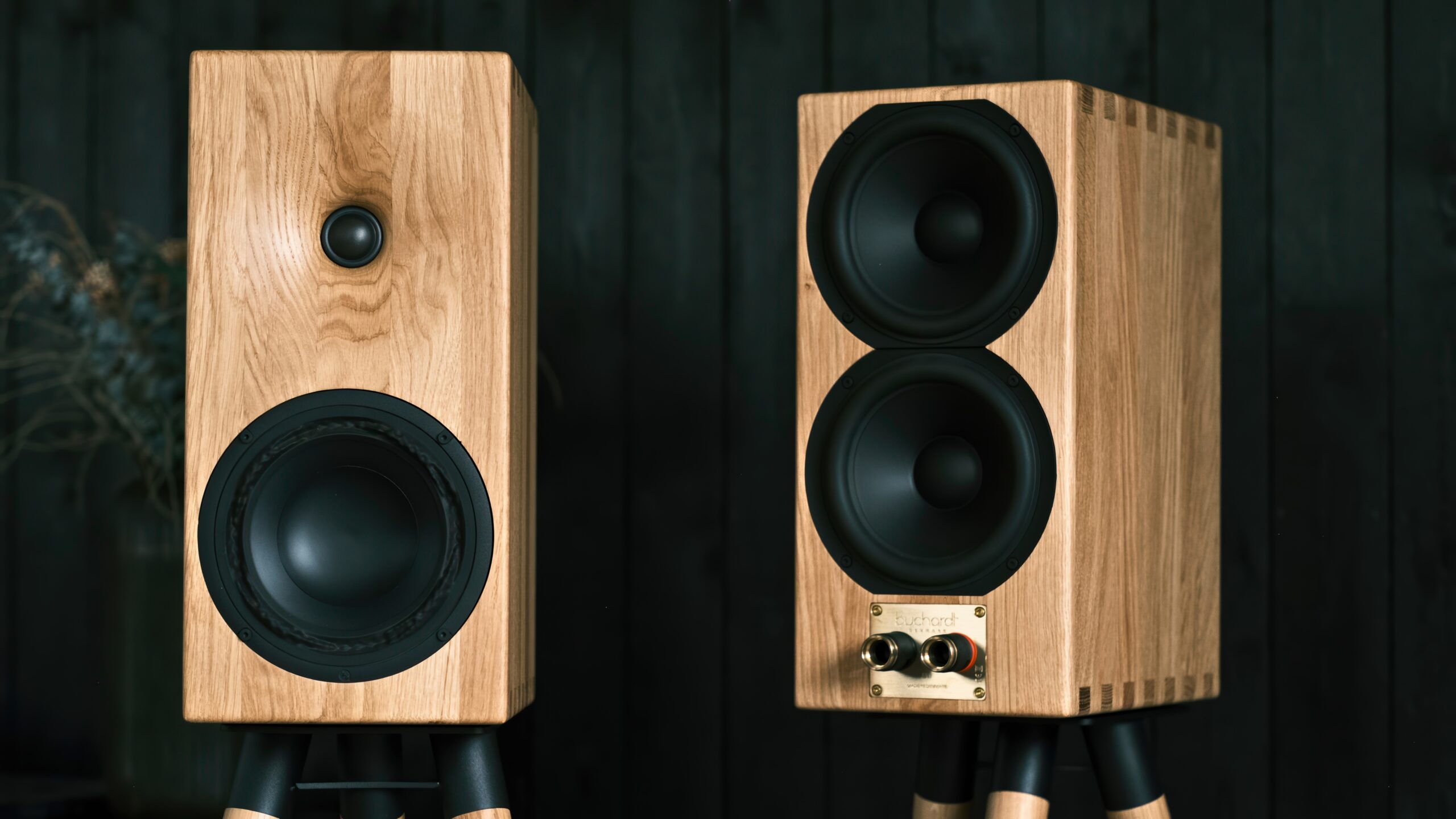 Hi-Fi Skolen del 6 12 Buchardt Audio E50