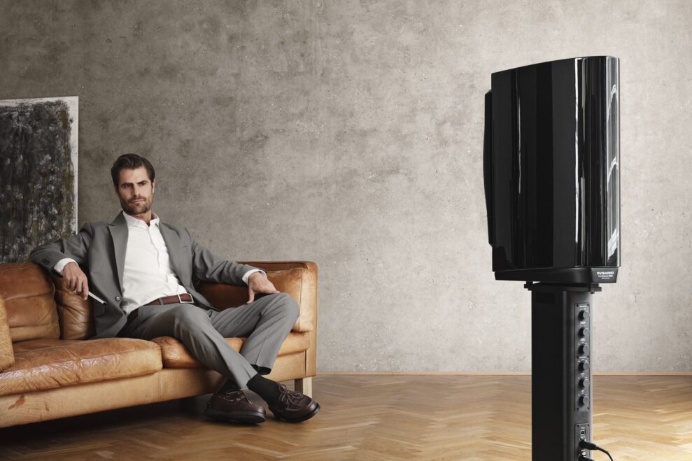 Dynaudio Confidence 20A 4