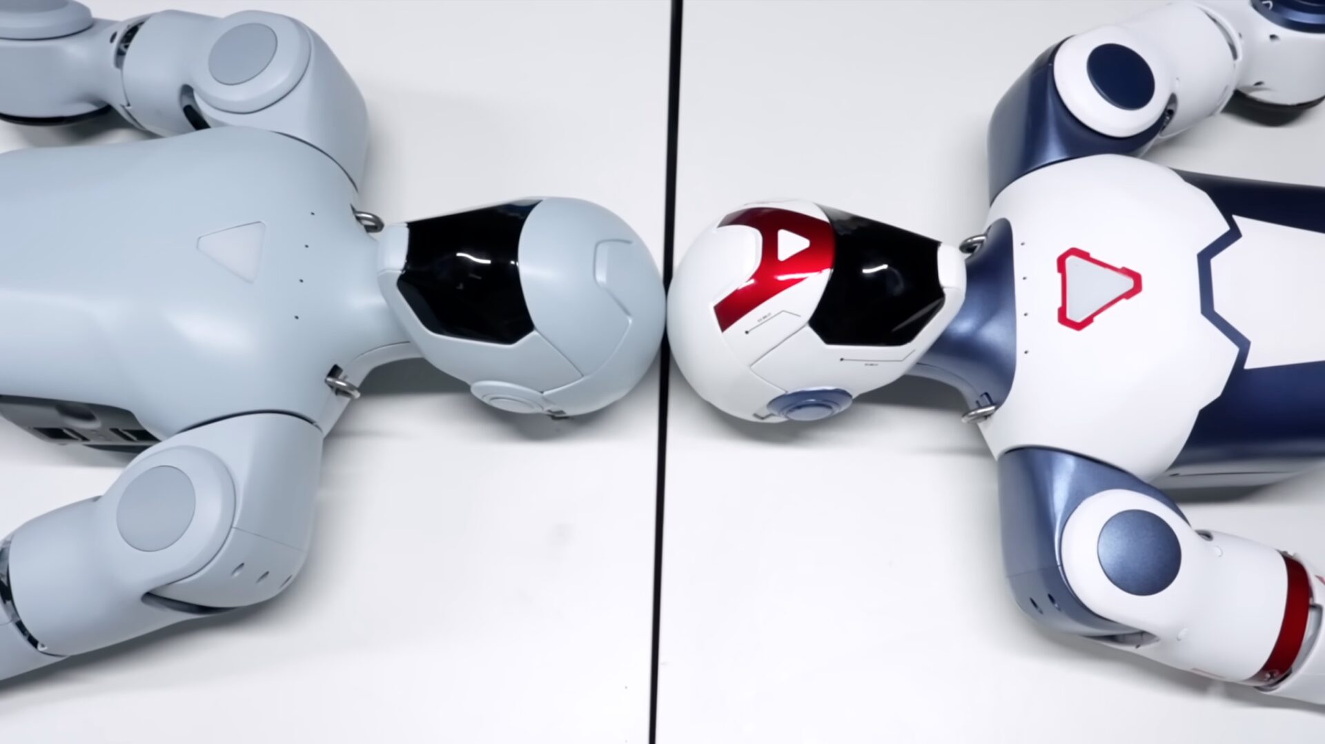 Humanoid robot for under 60.000 kroner